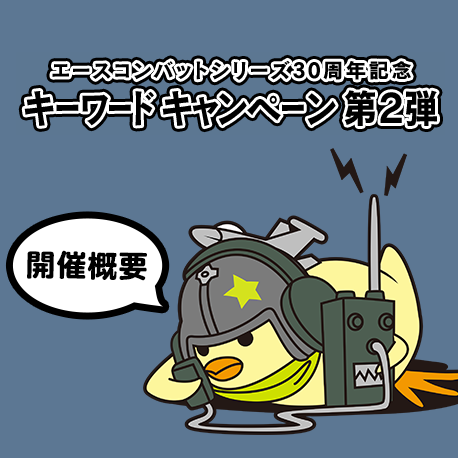 エースコンバットシリーズ30周年記念 キーワードキャンペーン第2弾